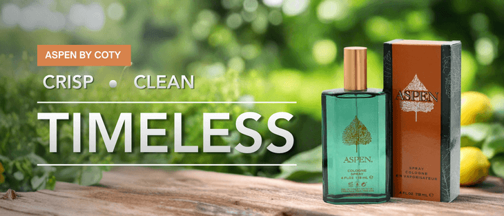 aspen banner